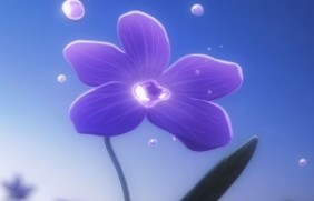 紫罗兰的开花形状什么样子