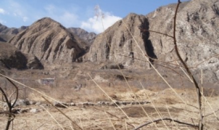 海南省绿化荒山适合什么时间种植？