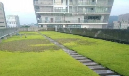 广东省种植青叶佛甲草屋顶绿化适合吗，种植后可以防水吗？