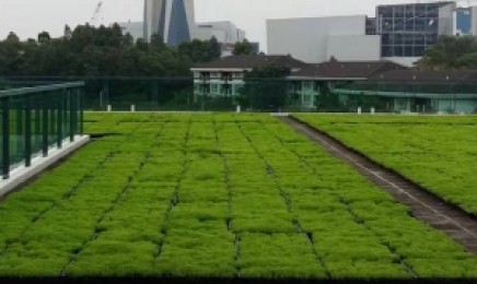 陕西省屋顶绿化需要浇水吗，几月种植效果好？