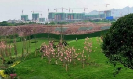 浙江省屋顶绿化种植什么植物，青叶佛甲草几月种植效果好？