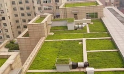 河南省屋顶绿化种植佛甲草能用多长时间，绿化效果怎么样？