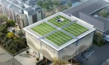 广东省屋顶绿化使用佛甲草用量是多少，几月份种植？