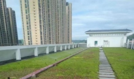 福建省屋顶绿化使用佛甲草可以吗，是多年生植物吗？